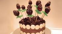 Chocolate dipped strawberry flower birthday cake recipe Chocolate dipped strawberry flower birthday cake recipe