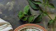 Cucumber Mint Raita Cucumber Mint Raita