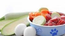 Healthy Raw Diet for Dogs Healthy Raw Diet for Dogs