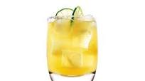 Agave Margarita Agave Margarita