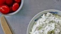 Homemade Tzatziki Sauce Recipe Homemade Tzatziki Sauce Recipe