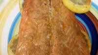 Grilled Steelhead Trout Grilled Steelhead Trout