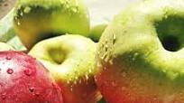 Pennsylvania Dutch Low-Sugar Apple Butter Pennsylvania Dutch Low-Sugar Apple Butter