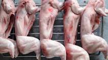 How to cook rabbit How to cook rabbit